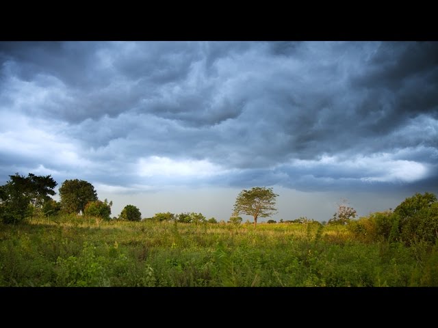 A video on the Strengthening Climate Information and Early Warning Systems (SCIEWS) project in Uganda