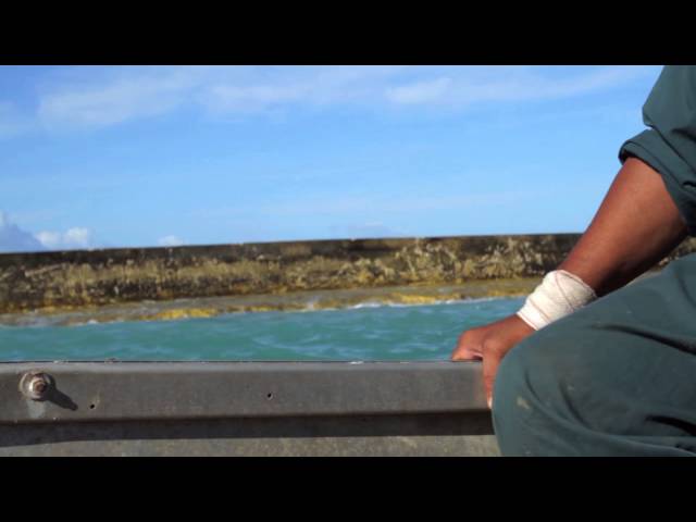 Cook Islands: Vital Harbour